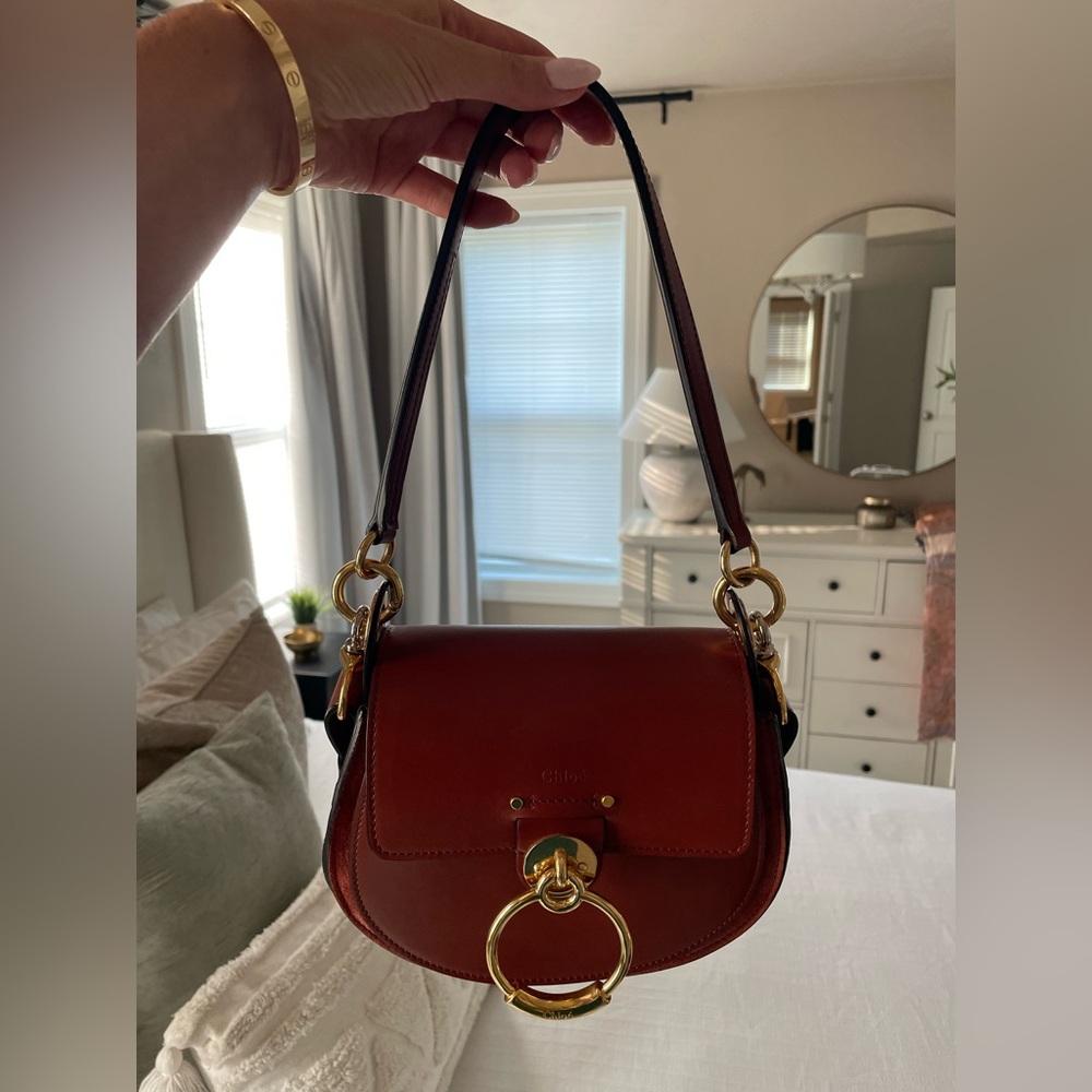 SMALL TESS BAG IN SHINY & SUEDE LEATHER - Picture 14 of 14